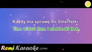 Smerfne Hity  Loczek blond karaoke  RemiKaraokecom [upl. by Eirased]