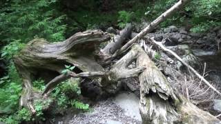 Wanderung in der Ravennaschlucht Hochschwarzwald 2017 [upl. by Tennes844]