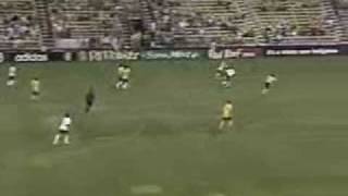 New York Red Bulls  Best Goals 2006 [upl. by Nitsirc]