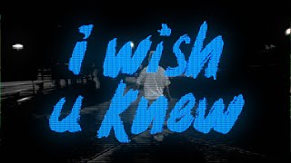 vaultboy  i wish u knew Official Lyric Video [upl. by Gefell]