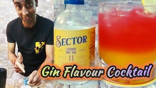 Sector Gin Flavour Cocktail 🍸 Gin Kya Hai  THE BEST GIN Ever  How to make gin 🍸 [upl. by Umeh]