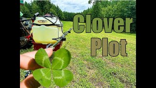 Spraying a CLOVER Deer Food Plot for Grasses [upl. by Nwahsek796]