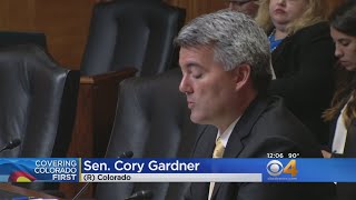 Sen Cory Gardner Talks Policy With North Korea [upl. by Rotce]