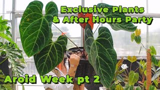 Our most Exclusive plants Tour  Aroid Greenhouses After Hours Party Celebration  Aroid Week pt 2 [upl. by Cestar]