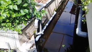 Aquaponics Làm U Siphon External giảm 50 Tiền Điện So Với Bell Siphon [upl. by Davin]