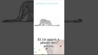 Le Petit Prince 003 [upl. by Gunner]