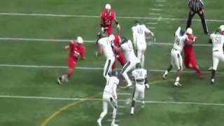 NFL Prospect Terrence Fede Marist College Highlights [upl. by Herr]