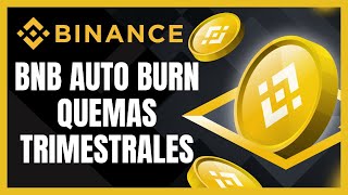 BNB Auto Burn ¿Cómo funcionan las quemas trimestrales [upl. by Onurb975]