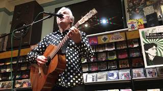 Robyn Hitchcock  Madonna Of The Wasps  Bordentown NJ April 4th 2018 [upl. by Ibrab885]