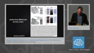 Computational Diversity and the mesoscale organization of the neocortex [upl. by Otrebireh]