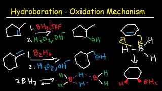 Hydroboration Oxidation Mechanism of Alkenes  BH3 THF H2O2 OH Organic Chemistry [upl. by Delfine]