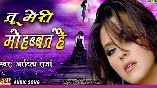 मुझे अपनों ने ही दिया था धोखा शिकायत नहीं किसी से  Tu Meri Mohabbat Hai  Hindi Sad Songs [upl. by Okechuku]