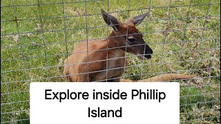 Explore inside Phillip Island [upl. by Samira]