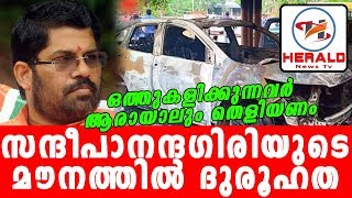 സന്ദീപാനന്ദഗിരിയുടെ മൗനത്തിൽ ദുരൂഹത SANDEEPANANDA GIRIHerald News Tv [upl. by Bang807]