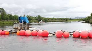 How does a Fish Weir Work [upl. by Sidell552]