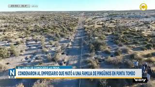 Condenaron al empresario que mató a una familia de pingüinos en Punta Tombo │N2030│071124 [upl. by Ttreve79]