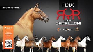 2º Leilão Haras Cafalloni [upl. by Caresa]