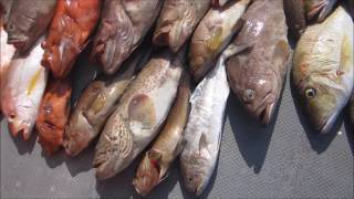 SEDILI FISHING TRIP APRIL 2017 CAPTAIN AH MONG [upl. by Ahael]