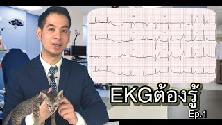 100 EKGต้องรู้ห้องฉุกเฉิน ใบที่1 Benign Early Repolarization STยก แต่ไม่ใช่กล้ามเนื้อหัวใจขาดเลือด [upl. by Wernher901]