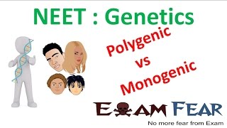 NEET Biology Genetics  Polygenic vs Monogenic Polygenic and Environment [upl. by Ecnarret]