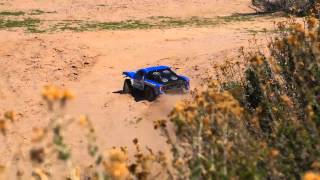 ECX RC Torment 110 2WD Brushless RTR SCT [upl. by Hairakcaz]