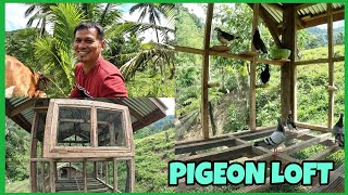 MAY BAGONG BAHAY NA ANG AMING MGA ALAGA PIGEON LOFT DESIGN [upl. by Onitrof]