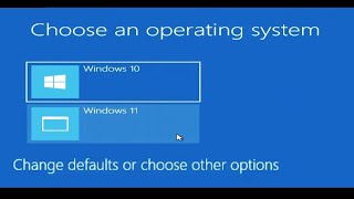 How To Install Dual Windows 10 and Windows 11 On The Same Computer [upl. by Kahle]