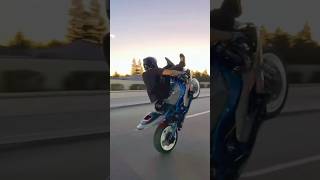 Wheeling Kawasaki ninja 636 stunt bikewheelingstuntbikewheeliekawasakininjaninjaninja636moto [upl. by Marylynne674]