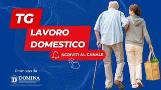 Tg Lavoro Domestico  Lavoratori domestici in Italia [upl. by Nanek]