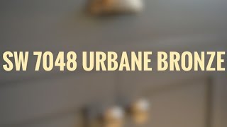 Urbane Bronze Sherwin Williams  COLOR OF THE YEAR 2021 [upl. by Anavlys]