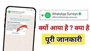 WhatsApp Surveys kya hai  WhatsApp par start survey ka use kaise kare  WhatsApp new message [upl. by Toney273]