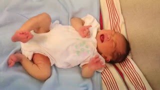 Newborn Baby Kicking and Crying [upl. by Early]