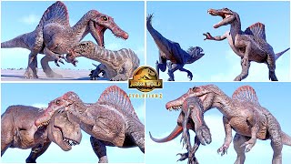 Spinosaurus VS All Dinosaurs Fighting amp Killing Animations 🦖 Jurassic World Evolution 2 [upl. by Ahsikel12]