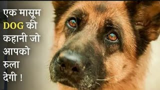 Best emotional movie clip of a dog explained in Hindi part 1 palma [upl. by Birgitta]