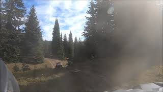 Whipsaw Trail RZR ride Coalmont BC [upl. by Ynhoj]