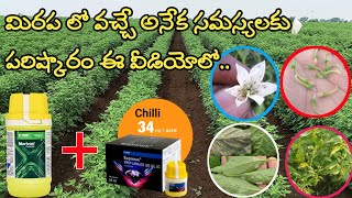 basf exponus insecticide  exponus basf insecticide  uses telugu  basf merivon fungicide [upl. by Sik]