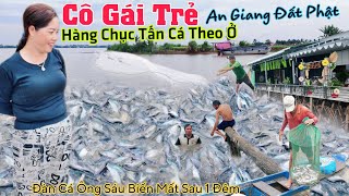 Kỳ lạ đàn cá 100 tấn Ông Sáu biến mất sau 1 đêm Bất ngờ CÔ GÁI TRẺ trời ban đàn cá hàng chục tấn [upl. by Odlabso]