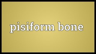 Pisiform bone Meaning [upl. by East]