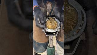 Removing old horses shoe foryou horse hoof satisfying horseshoe [upl. by Lenox]