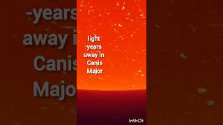 The Largest Star in the Universe VY Canis Majoris shorts shortfeed youtubeshorts [upl. by Anihsak522]