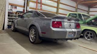 2007 Ford Mustang GT500 Cold Start [upl. by Garry]