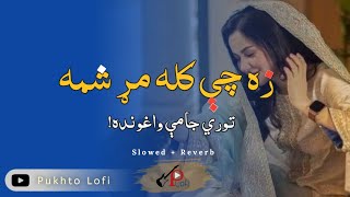 Za Chi Kala Mar Shama  زه چې کله مړ شمه  Pashto New 2023 Song  SlowedReverb [upl. by Maxey]