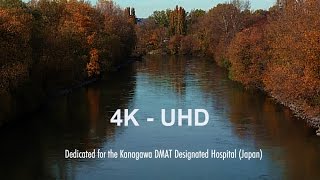 Autumn Impressions from Vienna  4K UHD [upl. by Ajdan425]