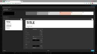 Site amp Design Settings  Setup Colors amp Type Styles [upl. by Osbourn144]