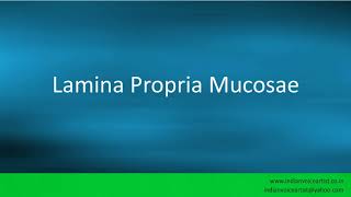 Pronunciation of the words quotLamina Propria Mucosaequot [upl. by Hussey]