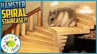 HAMSTER UPGRADES Izzys Toy Time makes some wood toy MEGA UPGRADES Fun Toys [upl. by Langsdon216]