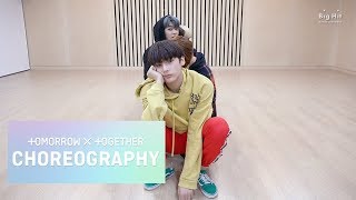 TXT 투모로우바이투게더 ‘Cat amp Dog’ Dance Practice Appeal ver [upl. by Stonwin]