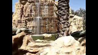 Tozeur Oasis  واحة مدينة توزر [upl. by Knut465]