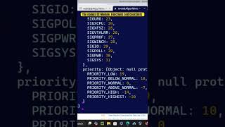 Kali Linux The nodejs OS Module Functions and Constants [upl. by Atteuqal]