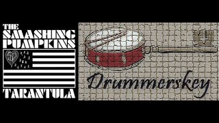 Smashing Pumpkins  Tarantula Drum Cover [upl. by Airres]